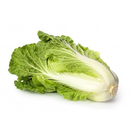 Kapusta pekińska szt